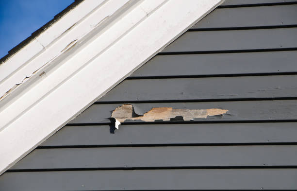 How To Choose The Right Materials for Your Siding Installation in 'West Hattiesburg, MS